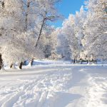 Envie d’un séjour à la neige : il reste qq places
